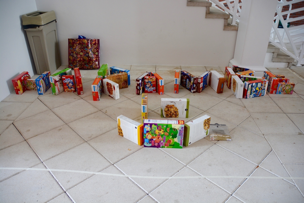 All cereal boxes from Cerealstruction are donated to charity. (via Rachel Rutstein, senior)