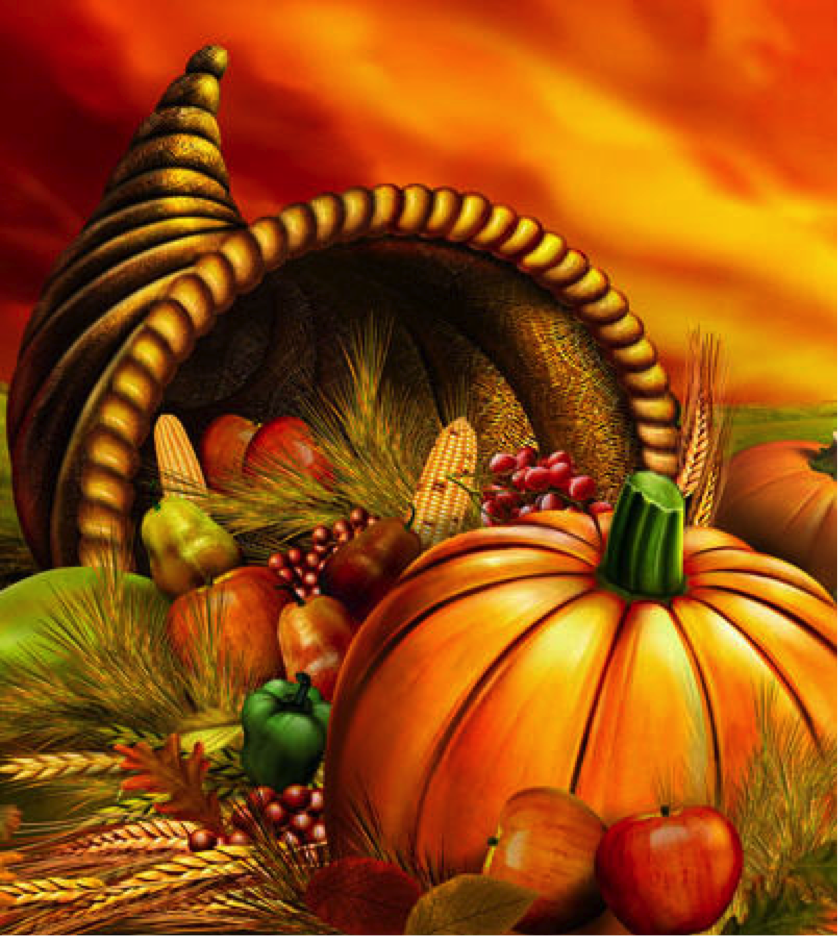 http://4.bp.blogspot.com/-gmFCqo6Whdk/TtBXNF_8XnI/AAAAAAAAC5o/3PTq76_lYHo/s1600/thanksgiving.jpg