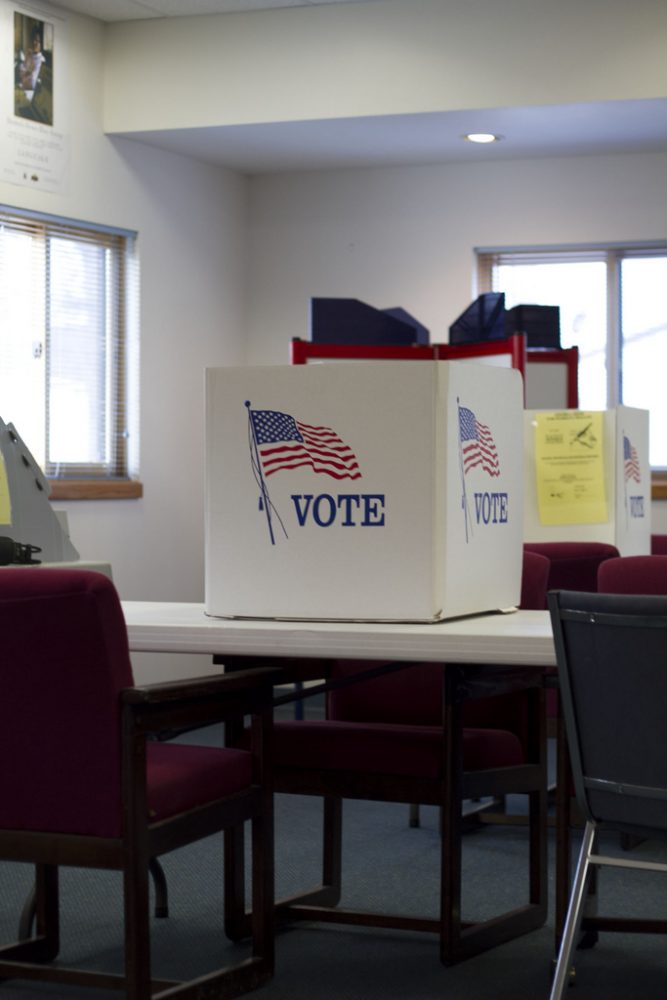A Look at Ballot Initiatives and State and Local Elections