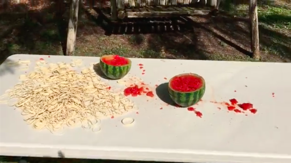 Testing a Watermelons Strength: Rubber Band Edition