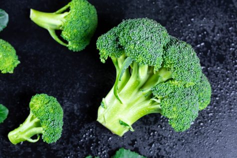 A piece of broccoli. (via name) 