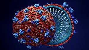 Coronavirus Update