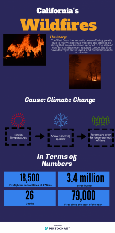 California Wildfires Infographic