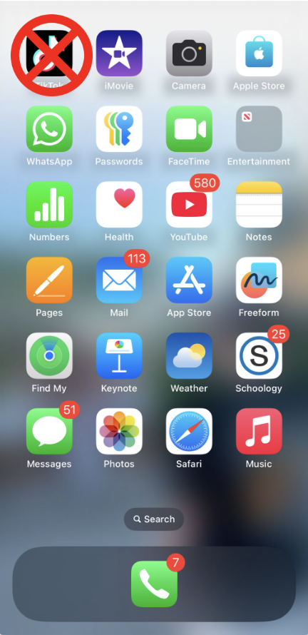 The future of TikTok is unsure. How much longer it will be on our home screens is unknown. Photo from Tori Greenberg '27.