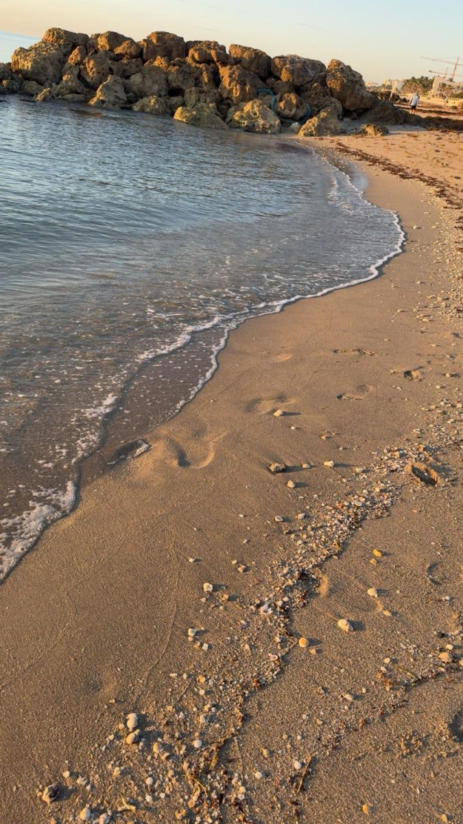 Caption: Delray Beach. Photo by Zoraida de Souza 